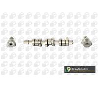 BGA Engine Camshaft Intake Side Lobes fits Seat Skoda Vw