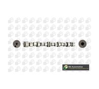 Camshaft Fits Opel Vauxhall Astra Combo Corsa Meriva Astravan BGA CS9739