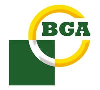 BGA Head Bolts - Bk6398