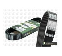 Multi-ribbed V-belt 7PK1749 CONTINENTAL CTAM for NISSAN HONDA RENAULT DAF