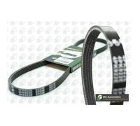 CONTITECH 4PK1775 Serpentine belt