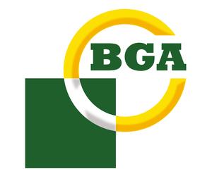 BGA Valve Stem Oil Seal Set Fits Renault Clio 2001- Twingo 2004- 1.1 1.2