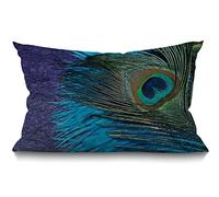 BGBDEIA Cushion Cover Farmhouse Purple and Teal Peacock Decorations Pillow Cover Case for Sofa Couch Cotton Linen 30 x 50 cm 12x20 Inches