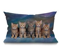 BGBDEIA Cushion Cover,Kitten Series Cute Cat Rectangle Outdoor Cushion Covers 12x20 inch, 30 x 50 cm Cushion Cover with Invisible Zip for Sofa Chair Living Room