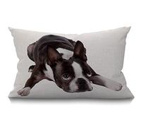 BGBDEIA Cute Funny Various Pet Dogs Human Friends Boston Terrier Cotton Linen Decorative Cushion Cover Throw Pillow Case for Couch Sofa Bed,30 x 50 cm 12 X 20 Inches