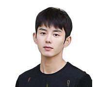 BGHJUE Wig Male Mens Short Straight Fluffy Brown Wig With Bang Halloween Cosplay Wigs AsshownTruehair-heise-black Hair tail Real hair-blackAs shown