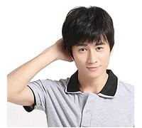 BGHJUE Wig Mens Brown Wig Male Guy Short Layered Cosplay Costume Party Natural Hair Wigs Black Black