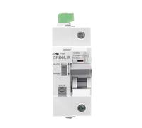 BGMCSFerG Din Rail Gym9 1p 2p 3p 4p Mcb with Autoreclose Device Automatic Reset Circuit Breaker Smart Home 63a Mcb Auto Recloser