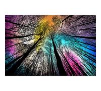 Bgraamiens Forest Under Starry Night - 1000 Piece Gradient Magic Colorful Puzzle for Adults