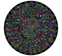 Bgraamiens Puzzle-The Indian Feather-1000 Pieces Round Puzzle Color Challenge Jigsaw Puzzles for Adults and Kids