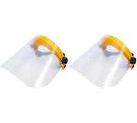BGS 3703 | Face Shield | transparent (Pack of 2)
