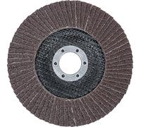 BGS 3975 | Flap Disc | Ø 125 mm | K 60