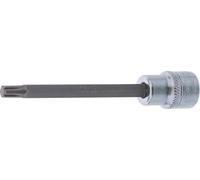 BGS 4141 | Bit Socket | length 100 mm | 10 mm (3/8") Drive | Spline (for RIBE) | M6
