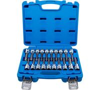 BGS 5170 | Bit Socket Set | 12.5 mm (1/2") Drive | Internal Hexagon, T-Star (for Torx), Spline (for XZN) with Ball Head | 20 pcs.