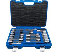 BGS 5184 | Bit Socket Set | special automotive Sizes | 38 pcs. | T-profile (for Torx) with bore, internal serration, wedge profile (for RIBE), hexagon, TS profile (for Torx Plus)