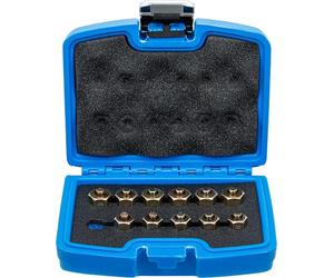 BGS 9540 | Injector Sealing Plug Set | 12 pcs.