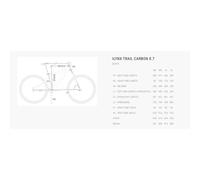 Bh Ilynx Trail Carbon 8.7 2exmag Gen 2 29´´ Xt 2023 Mtb Electric Bike L Orange / Copper / Copper