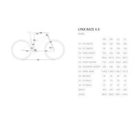 Bh Lynx Race 6.0 29´´ Xt 2026 Mtb Bike L NRR