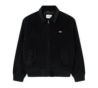 Bh2994 Padded Corduroy Bomber Jacket - male - Lacoste - Bomber Jackets - Black - XL - Jackets XL
