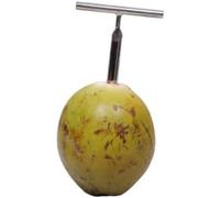 BHAVIKA CREATION Stainless Steel Coconut Opener Tool, T-Handle Design, Heavy Duty