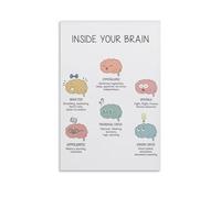 BHBHCPZGR The Human Brain Educational Poster - Anatomy & Functions Infographic, Scientific Wall Art for Home School, Science Class, Office, or Library Decor Unframed,16x24inch(40x60cm)