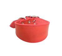 BHFYOB Leathers Dogs Collar Soft Padded Collar for Whippets Salukis Sighthounds Dogs Adjustable Collar Large Breeds Dogs