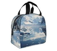 BHHJKK Insulated Lunch Bag Lunch Box for Women Men Antarctic Peninsula Lunch Bag Lunch Tote Bags for Work Office