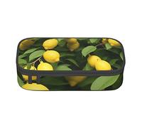 BHHJKK Mountain and Waterfall Pencil Box with Zipper,Drawing Pencil Case Organizer Empty,Beautiful Large Capacity Portable Pencil Boxes for Office