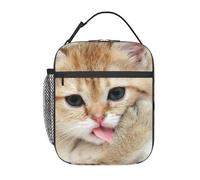 BHHJKK Portable Insulated Lunch Bag Cute Bunny Duckling Bloomy Spring Cooler Lunch Container Thick Reusable Lunch Box Tote Bag for Work Picnic School Kids