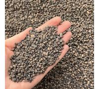 bhomescent Leca Horticultural Grit, Clay Pebbles, Lava rock like, Fine Grade 2-4mm (5L)