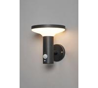 Tarak Outdoor Solar Wall Light With Sensor BHS Lighting Black One Size