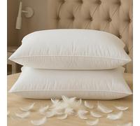 BHZ Down Feather Standard Pillows Set of 2 Pack, Luxury Hotel Collection Goose Bed Pillows for Sleeping Firm Soft Support for Side, Back, Stomach Sleepers for College Dorm Essentials, White