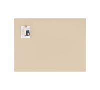 Bi-Office Reef Desert Magnetic Glass Board, 116,9x86,9cm, Glass Surface, Frameless Design