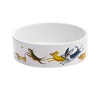 BIA International - Small Dog Bowl for Food or Water - From Wags to Whiskers