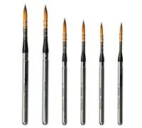 Biaelk 5PCS Professional Travel Watercolor Brushes,Portable Pocket Round Watercolor Paint Brushes Set #6#7#8#10#12#14 Synthetic Hair for Acrylic,Gouache,Face Painting