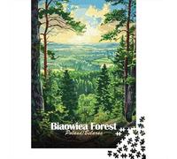 Bialowieza Forest, Poland∕Belarus 1000 Piece Jigsaw Puzzle, Peaceful Valley Travel Art, 1000 Pieces for Adults, Family Night Game for Puzzle Lovers, Adult Puzzle, 52x38cm/1000pcs