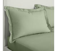 Bianca 200 Thread Count Cotton Percale Oxford Pillowcase Pair Sage Green