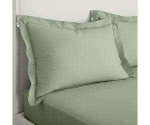 Bianca 200 Thread Count Cotton Percale Oxford Pillowcase Pair Sage Green
