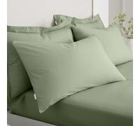 Bianca 200 Thread Count Cotton Percale Standard Pillowcase Pair Sage Green