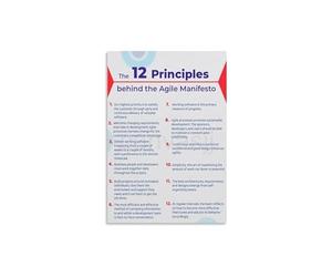 BIANMTSW Essential Agile Software Engineering Principles Chart Canvas Print Wall-Art for Developer Home Office Tech Startup or IT Dept Decor Unframed,16x24inch(40x60cm)
