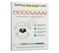 BIANMTSW Parent Guide Poster Understanding the Teething Timeline Canvas Wall-Art for Nursery or Playroom Decor Health Information Unframed,16x24inch(40x60cm)