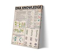 BIANMTSW Poster, Science Biology Educational Wall-Art, Double Helix Knowledge Chart for Classroom Decor, School, Home Study Unframed,08X12inch(20X30cm)