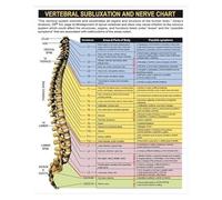 BIANMTSW The Backbone of Health Anatomy Poster - Visual Guide to Spine Structure & Nervous System, Laminated Chart for Massage School, Gym, or Study Room Framed,12x18inch(30x45cm)