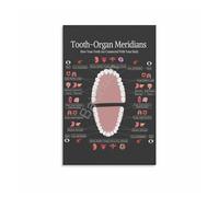 BIANMTSW The Tooth-Organ Connection Chart, Meridian Theory Canvas Poster, for Alternative Medicine Office, Library, Home Health Unframed,12x18inch(30x45cm)