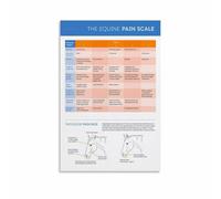 BIANMTSW Understanding Your Horse Poster Equine Body Language Chart Canvas Wall-Art for Equestrian Home Study Room Unframed,16x24inch(40x60cm)