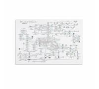 BIANMTSW Vintage Science Chart, Biochemistry Metabolic Pathways Diagram, Old School Laboratory Print for Home Office, Den, Man Cave, Nerd Decor Gift(Framed,16x24inch(40x60cm))