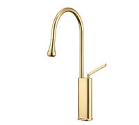 BiaoTeng Bathroom Sink Faucet with Pull Out Sprayer Hot and Cold Single Hole Bathroom Mixer Taps for Sink Brass Gold