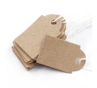 Biaungdo 200 Pcs Brown Price Tags with String Attached, 15x25mm/0.59x1inch Small Writable Label Tags Kraft Paper Gift Tag with Elastic String for Jewelry, Crafts, Pricing, Hanging & Gift Tagging