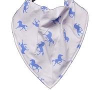 BibblePlus Dignity Bibs Childrens Bandana Bib/Clothing Protector - 4 Sizes Avaliable (COLT) (Size 1)