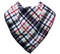 BibblePlus Dignity Bibs Childrens Bandana Bib/Clothing Protector - ERNIE (Size 1)
